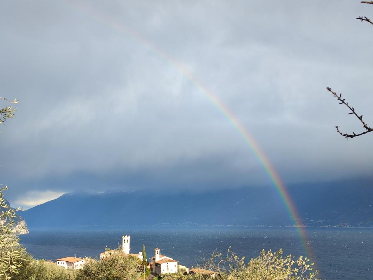 Agriturismo L'Uliveto Gargnano Zimmer foto